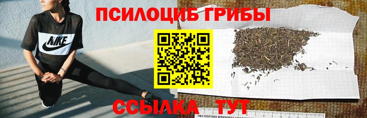 Псилоцибиновые грибы ЛСД Чита